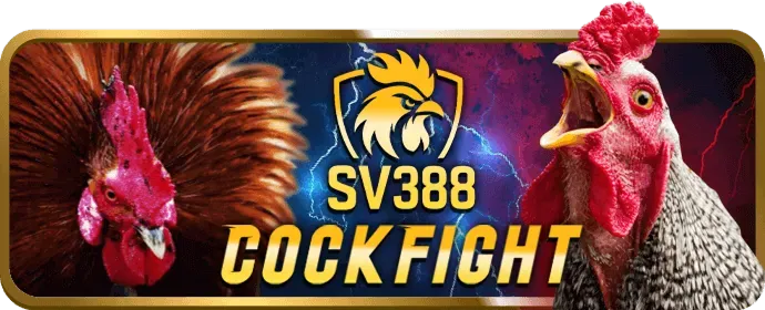 Sự kiện và giải đấu KM666